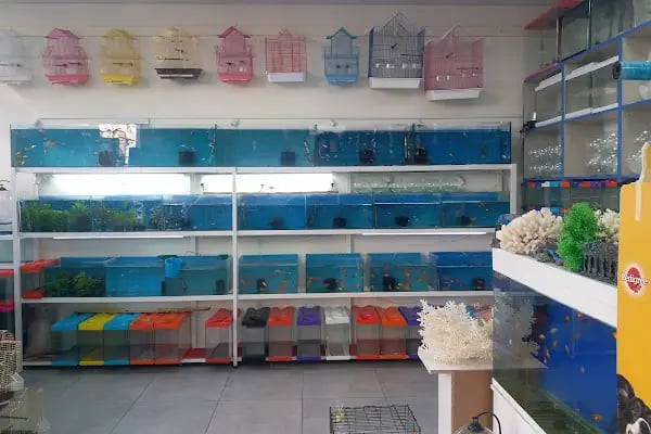 Aydin Pet Shop - Resim 3