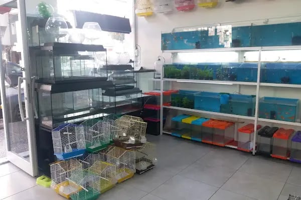 Aydin Pet Shop - Resim 4