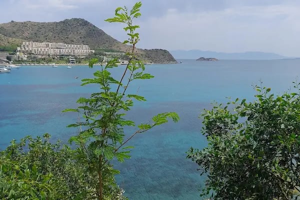 Yalı Cafe Akyarlar - Resim 6