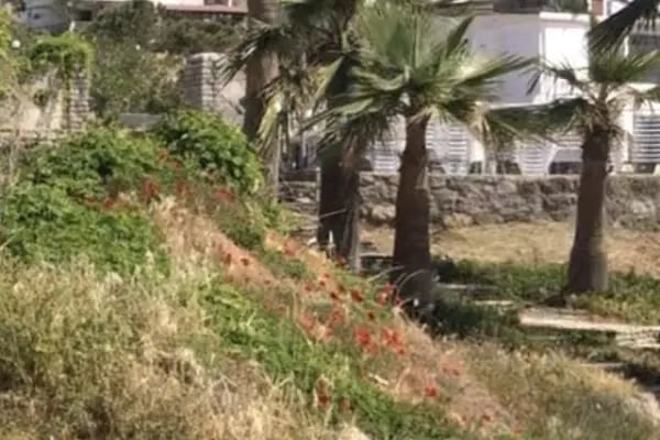 Fenerburnu Sahili - Resim 20