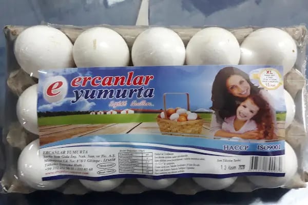 Bulut Yumurtacılık - Resim 6