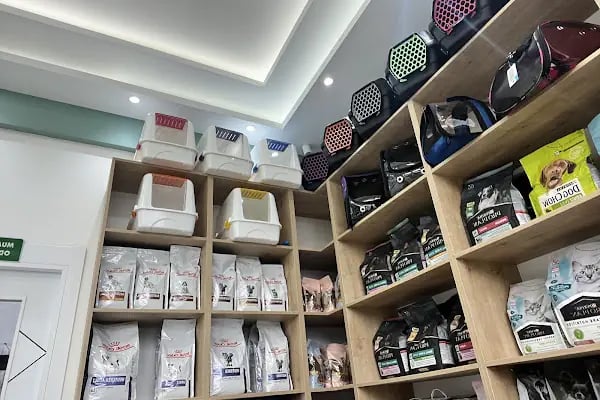 Balıkesir CityVet Veteriner Kliniği - Resim 5