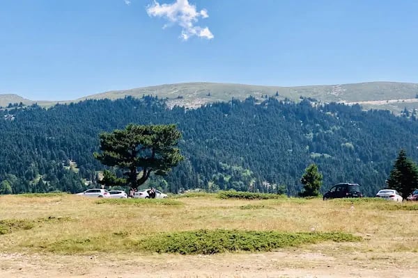 Milli Park Gişeleri - Resim 17