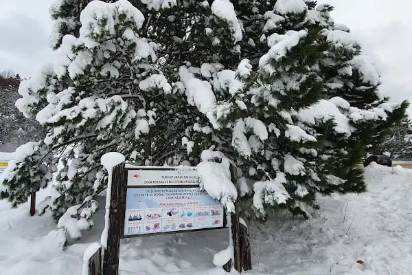 Milli Park Gişeleri - Resim 7