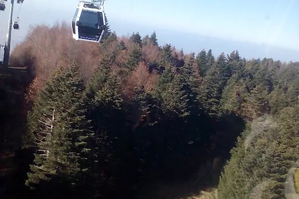 Milli Park Gişeleri - Resim 8