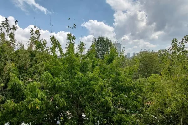 Yoğurtçu Parkı Tenis Kortu - Resim 18