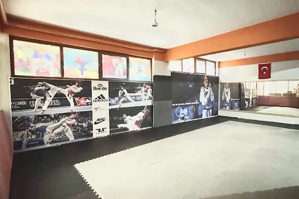Taekwondo - Resim 3