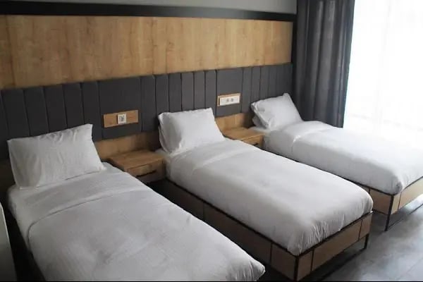 Skylon Airport Hotel - Resim 12