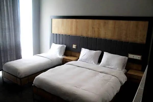 Skylon Airport Hotel - Resim 6