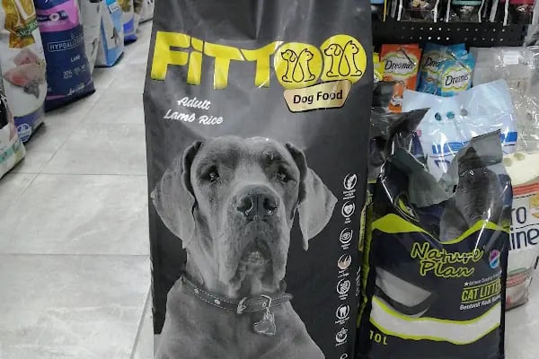 Eylül Petshop - Resim 18