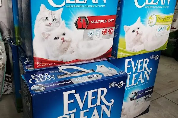 Eylül Petshop - Resim 12