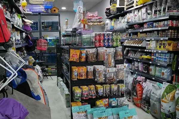 Eylül Petshop - Resim 13