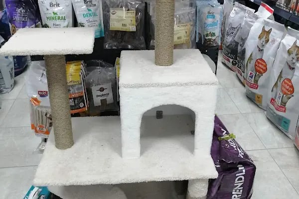 Eylül Petshop - Resim 20