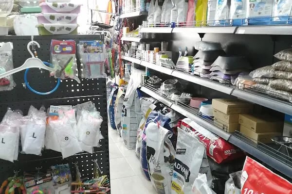 Eylül Petshop - Resim 2