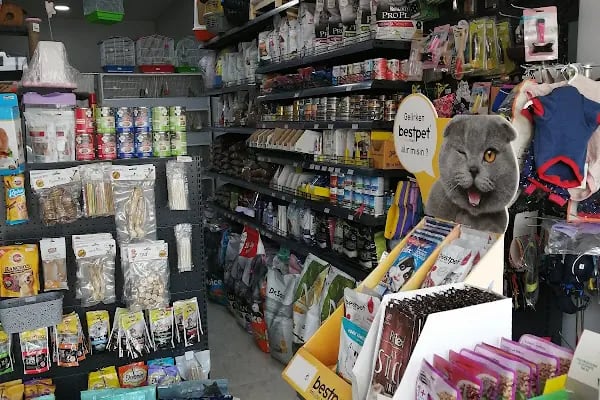 Eylül Petshop - Resim 10