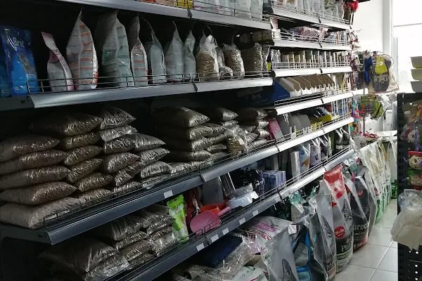 Eylül Petshop - Resim 19