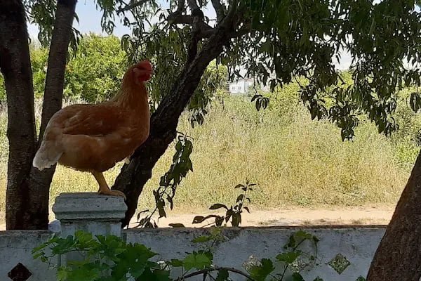 Umutkent Sitesi - Resim 10