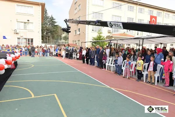 yeşil fotoğrafçılık - Resim 16