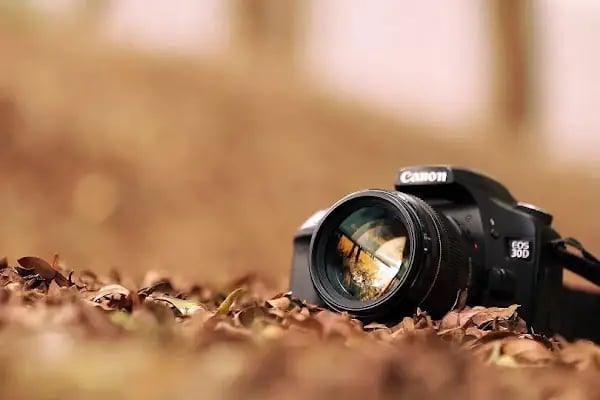 Foto Engiz - Resim 2