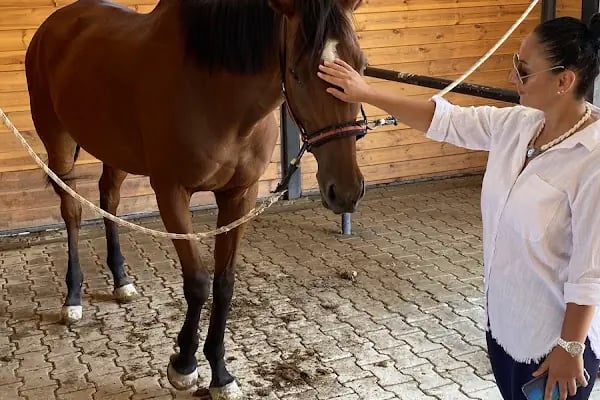 Nilüfer Atlı Spor Kulübü - Resim 16
