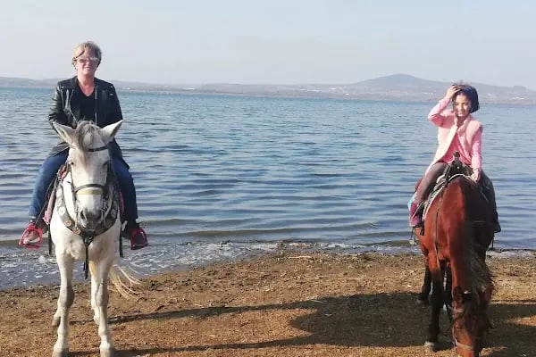 Nilüfer Atlı Spor Kulübü - Resim 7