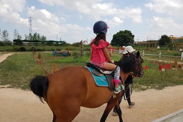 Nilüfer Atlı Spor Kulübü - Resim 3