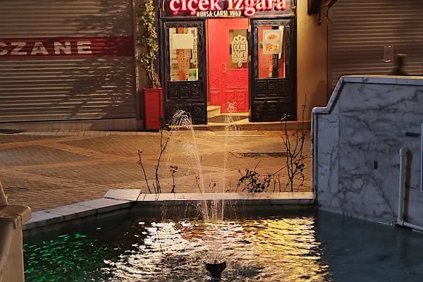 Çiçek Izgara Bursa - Resim 13