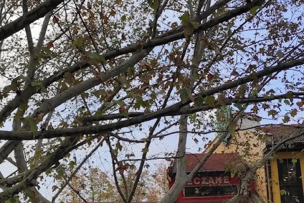 Çiçek Izgara Bursa - Resim 12