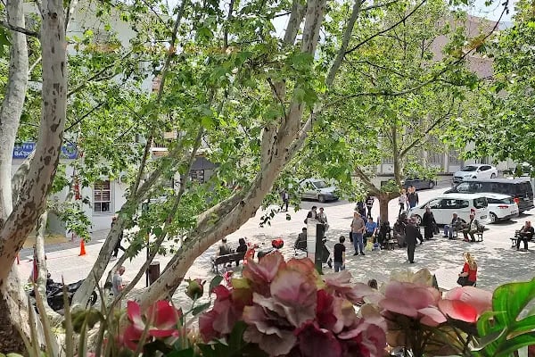 Çiçek Izgara Bursa - Resim 10