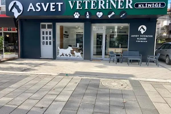 AsVet Veteriner Kliniği - Resim 2