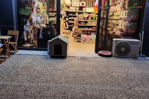 Millet petshop - Resim 4