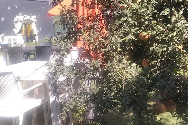 PORT 35 GARDEN - Resim 20
