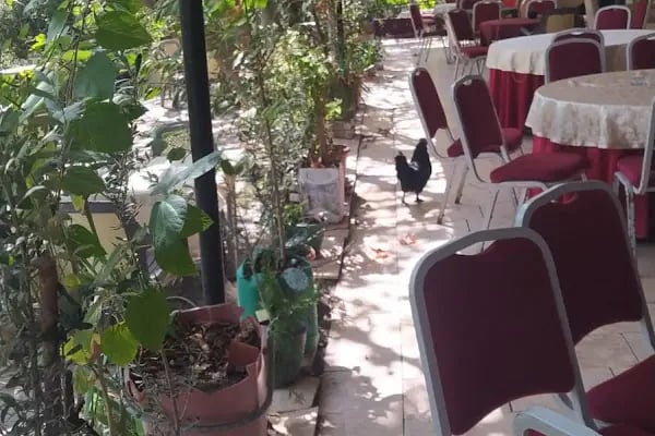 Cerrah Park Düğün Salonu - Resim 13