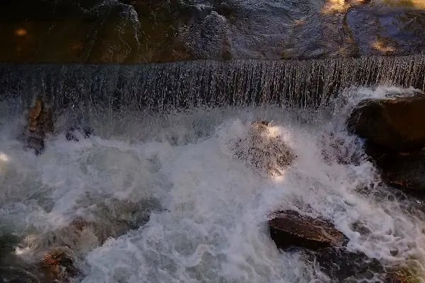 Cerrah Park Düğün Salonu - Resim 3