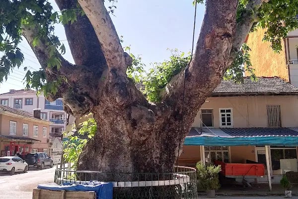 Cerrah Park Düğün Salonu - Resim 5