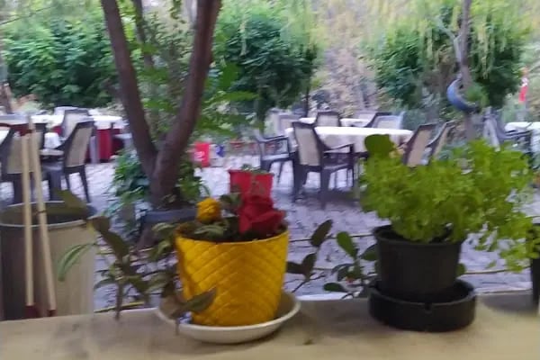 Cerrah Park Düğün Salonu - Resim 17