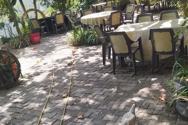 Cerrah Park Düğün Salonu - Resim 20