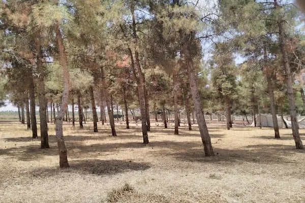 Beyazkule Tarım İşletmesi - Resim 2