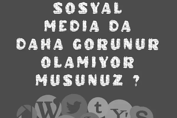 Dc Media Bodrum - Resim 15