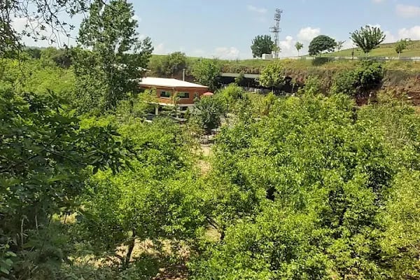 Kazangölü Şelalesi ve Piknik Alanı - Resim 11