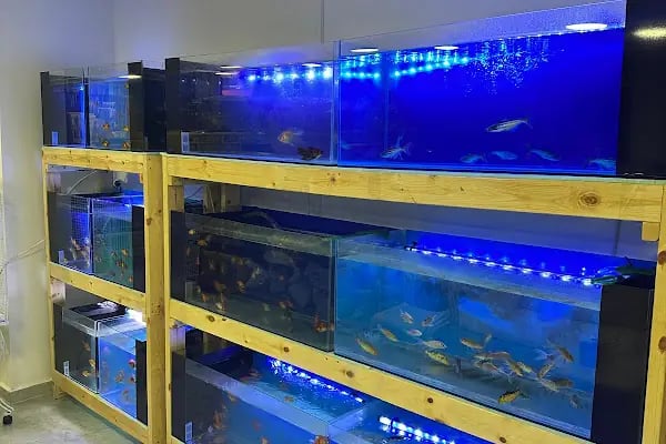 PetGross Petshop Antalya - Resim 11
