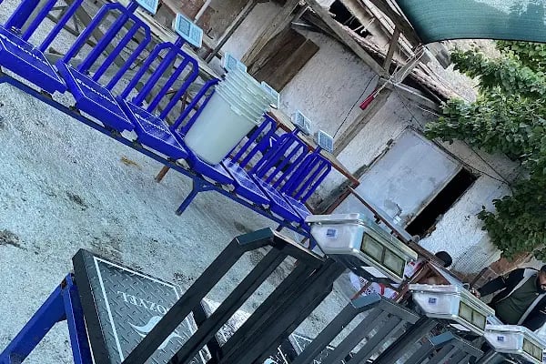 Neso Hayvancılık Kurbanlık ve Adaklık - Resim 14