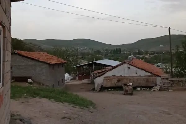 Neso Hayvancılık Kurbanlık ve Adaklık - Resim 7