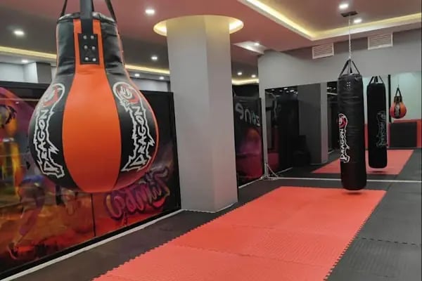 21 ZONE STUDIO - Resim 3