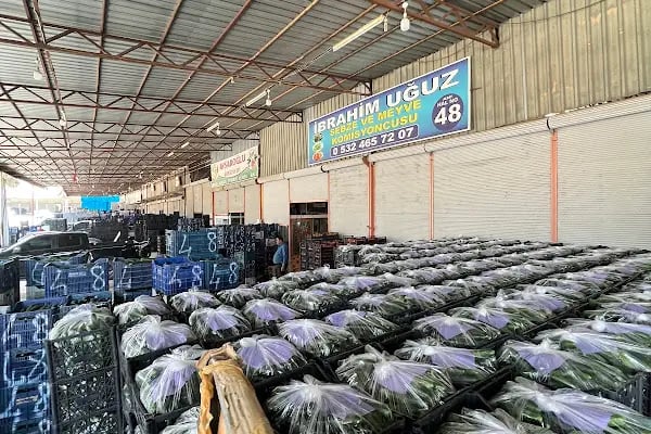 Alanya/Konaklı Toptanci Hali No: 48 ALBAY - Resim 12
