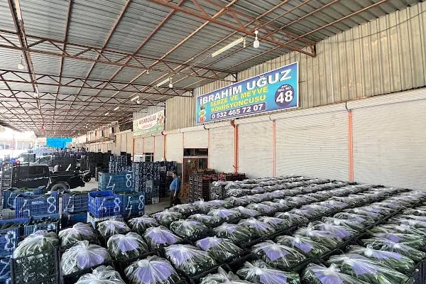 Alanya/Konaklı Toptanci Hali No: 48 ALBAY - Resim 2