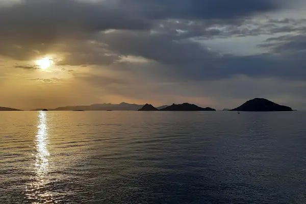 D-Marin Turgutreis Marina - Resim 16