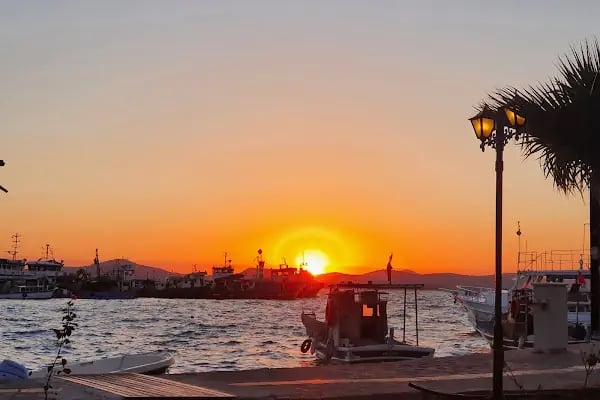 D-Marin Turgutreis Marina - Resim 4