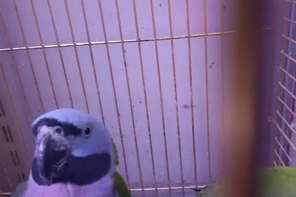 Enver Akvaryum PET Shop - Resim 8