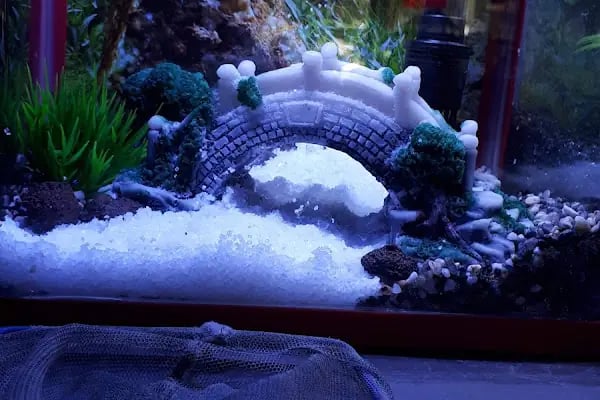 Enver Akvaryum PET Shop - Resim 5